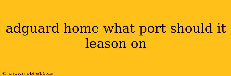 adguard home what port should it leason on