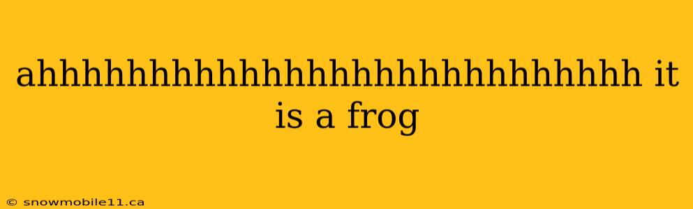 ahhhhhhhhhhhhhhhhhhhhhhhhhhh it is a frog