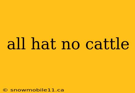 all hat no cattle