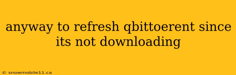 anyway to refresh qbittoerent since its not downloading