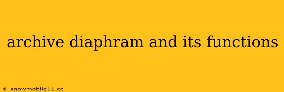 archive diaphram and its functions