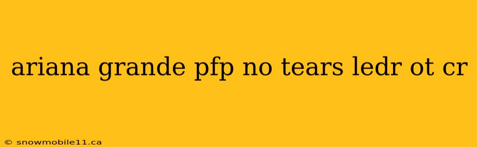 ariana grande pfp no tears ledr ot cr