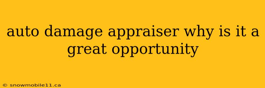 auto damage appraiser why is it a great opportunity