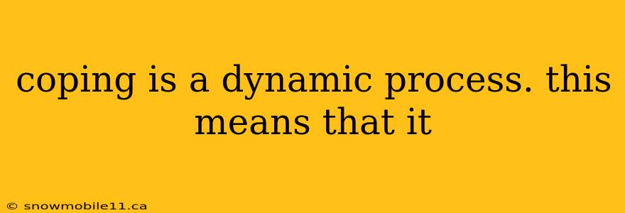 coping is a dynamic process. this means that it