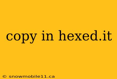 copy in hexed.it