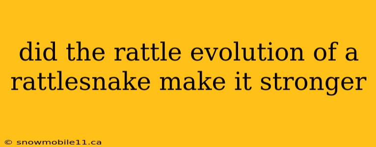 did the rattle evolution of a rattlesnake make it stronger