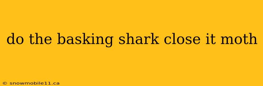 do the basking shark close it moth