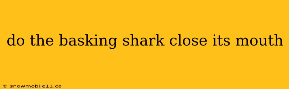 do the basking shark close its mouth