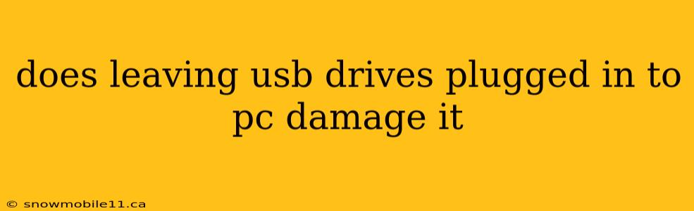 does leaving usb drives plugged in to pc damage it