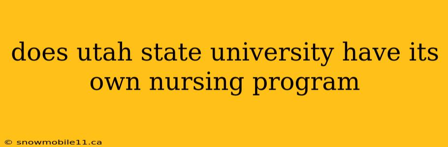 does utah state university have its own nursing program