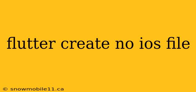 flutter create no ios file