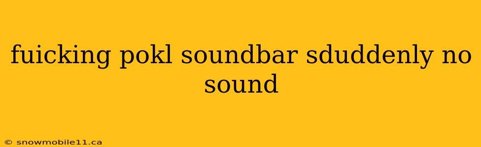 fuicking pokl soundbar sduddenly no sound