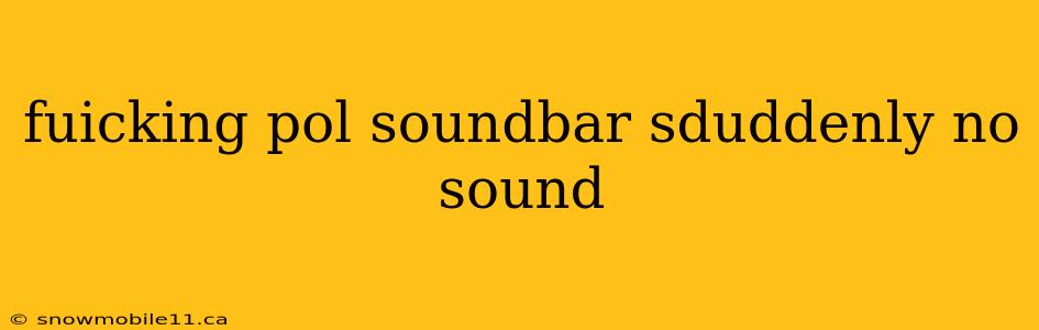 fuicking pol soundbar sduddenly no sound