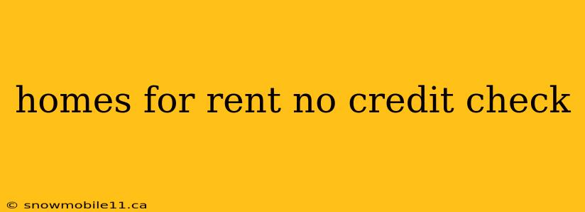 homes for rent no credit check