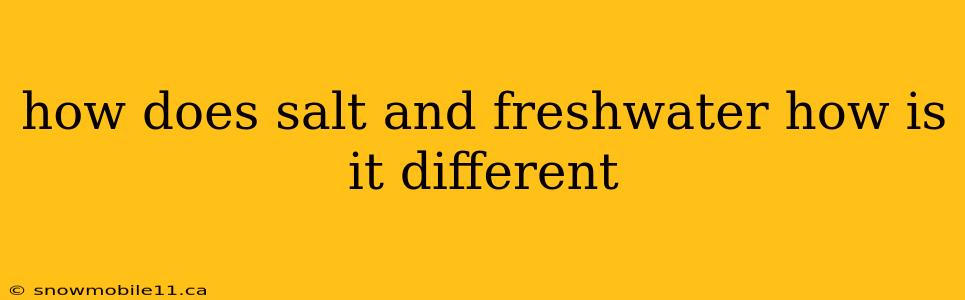 how does salt and freshwater how is it different