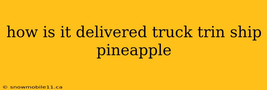 how is it delivered truck trin ship pineapple