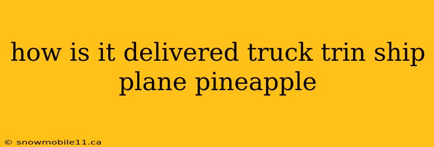 how is it delivered truck trin ship plane pineapple