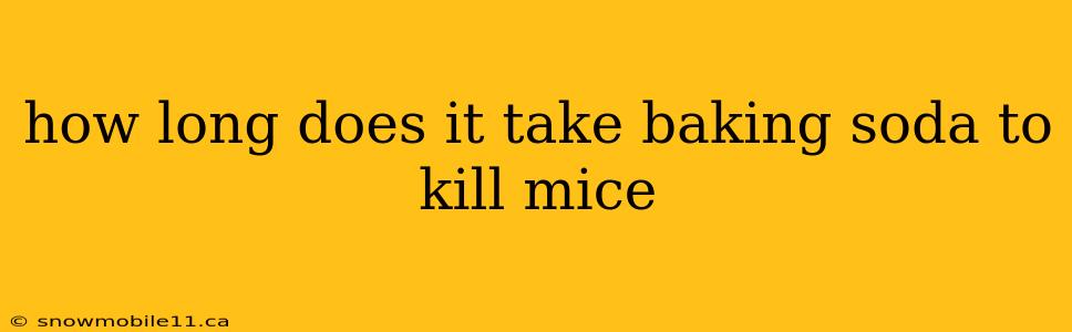 how long does it take baking soda to kill mice