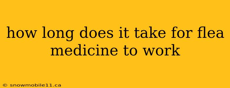 how long does it take for flea medicine to work