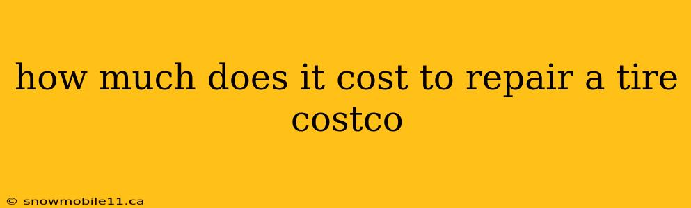 how much does it cost to repair a tire costco