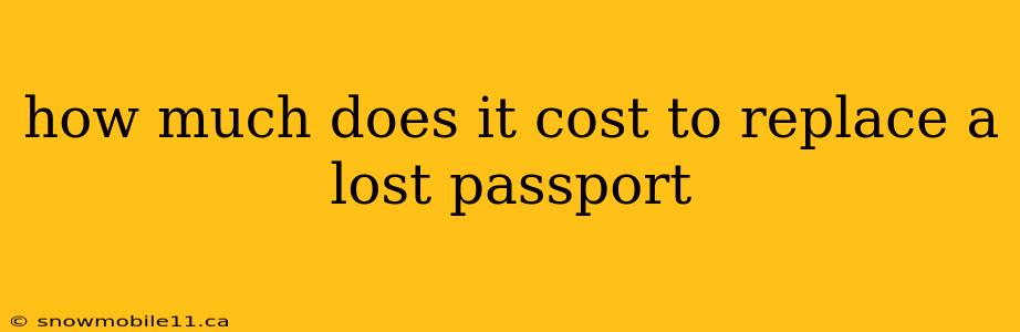 how much does it cost to replace a lost passport