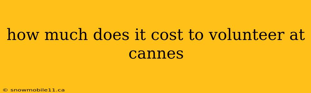 how much does it cost to volunteer at cannes