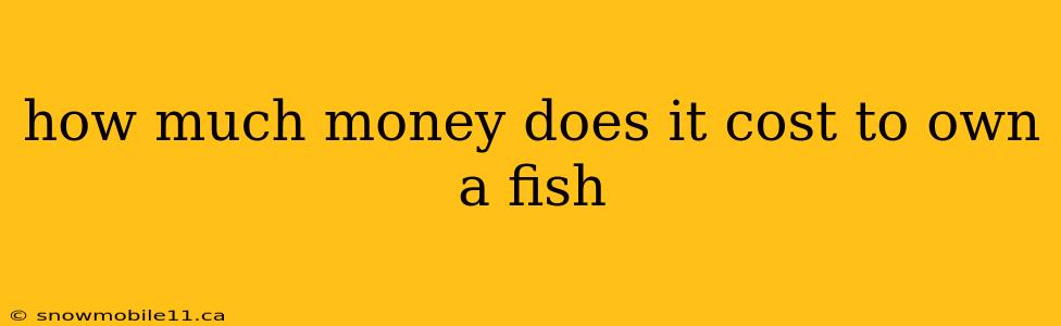 how much money does it cost to own a fish