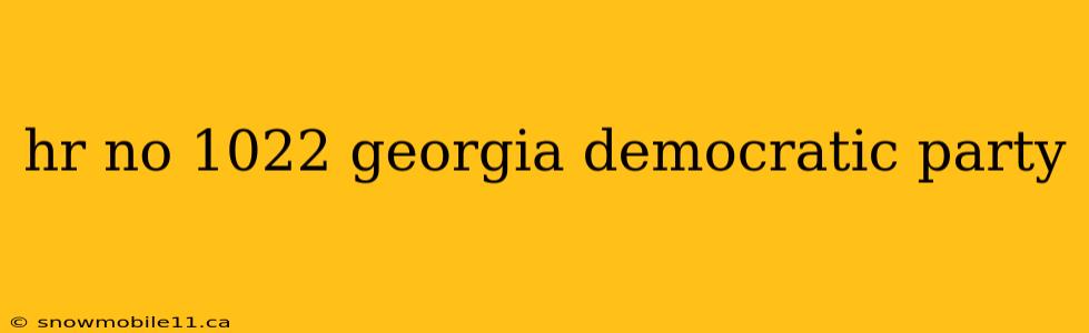 hr no 1022 georgia democratic party