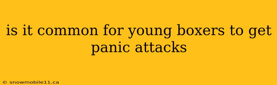 is it common for young boxers to get panic attacks