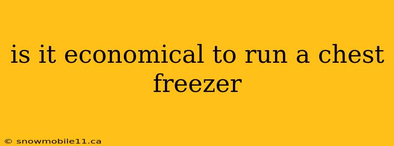 is it economical to run a chest freezer