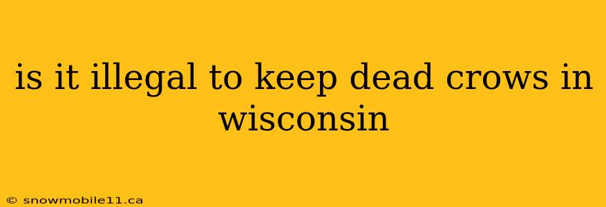 is it illegal to keep dead crows in wisconsin