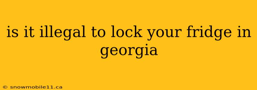 is it illegal to lock your fridge in georgia