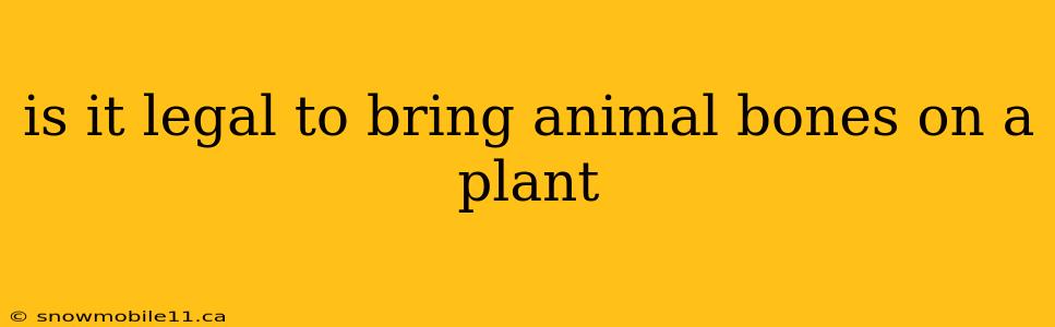 is it legal to bring animal bones on a plant