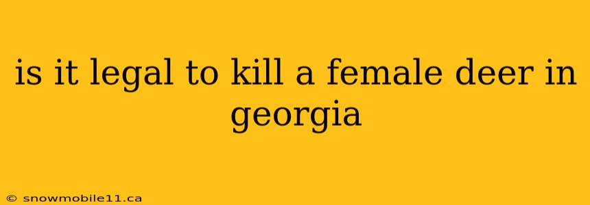 is it legal to kill a female deer in georgia