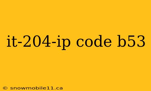 it-204-ip code b53