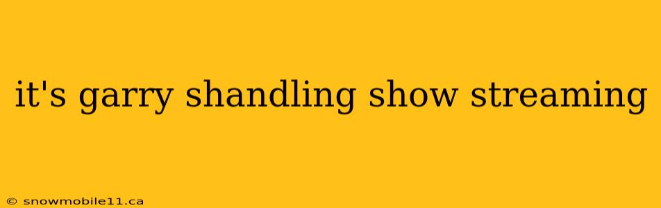 it's garry shandling show streaming