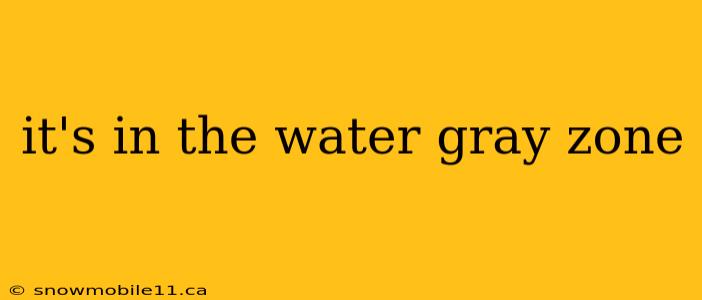 it's in the water gray zone