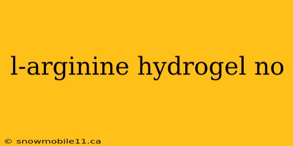 l-arginine hydrogel no