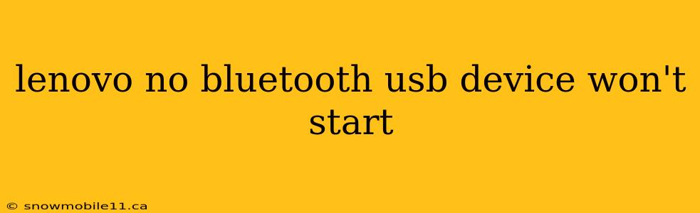 lenovo no bluetooth usb device won't start