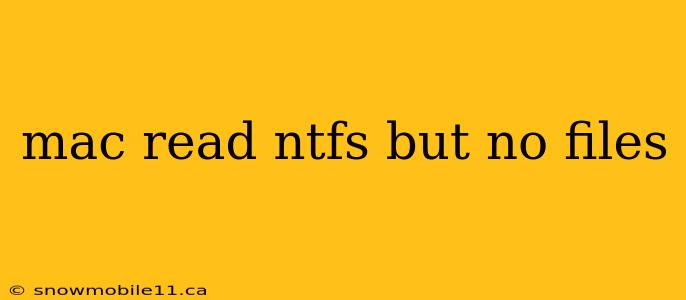 mac read ntfs but no files