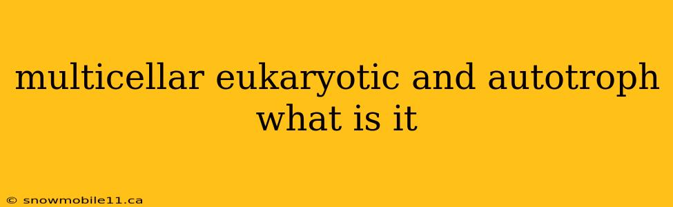 multicellar eukaryotic and autotroph what is it