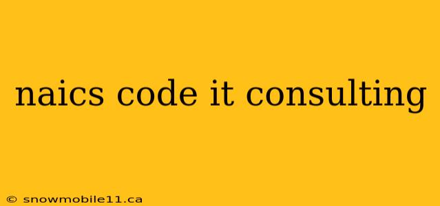 naics code it consulting