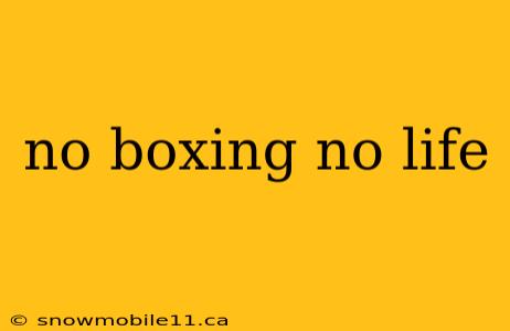 no boxing no life