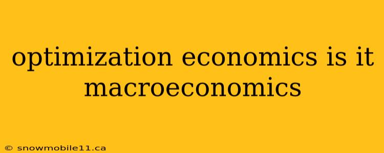 optimization economics is it macroeconomics