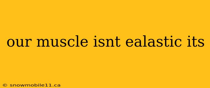 our muscle isnt ealastic its