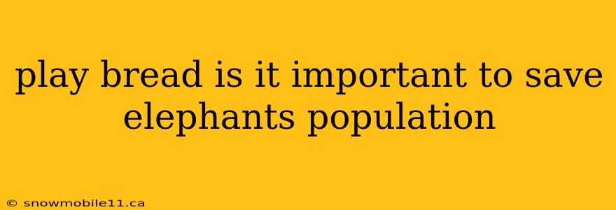 play bread is it important to save elephants population