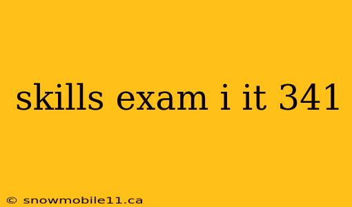 skills exam i it 341