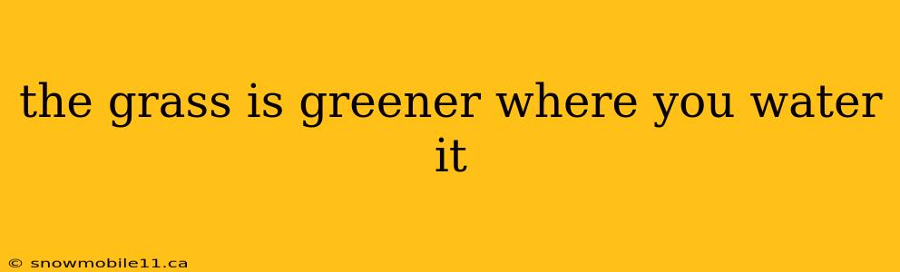 the grass is greener where you water it