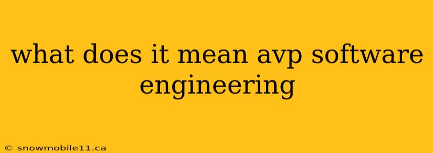 what does it mean avp software engineering