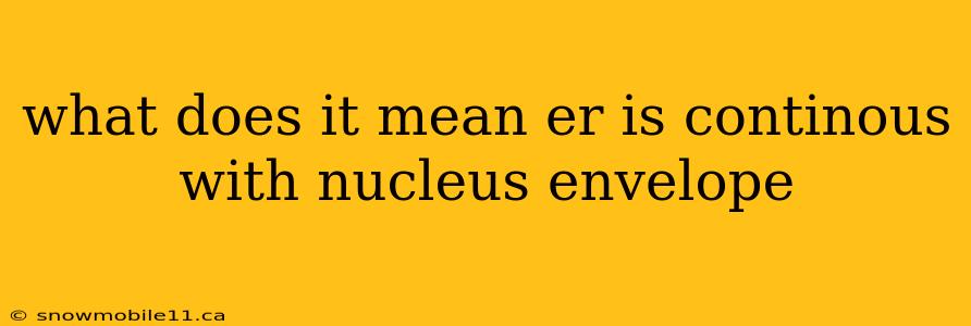 what does it mean er is continous with nucleus envelope